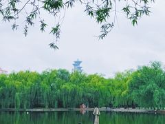 -银树楼(紫玉山庄东区店)