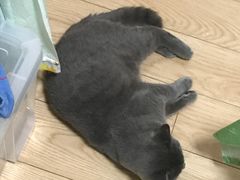 -杨浦区牙防所(中原门诊部)