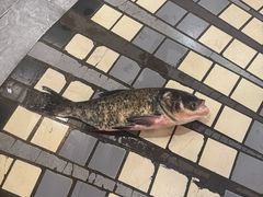 -万里闯关东铁锅炖菜馆(高新旗舰店)