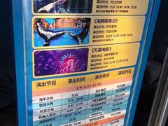 -烟台海昌鲸鲨海洋公园