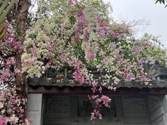 -深圳国际园林花卉博览园