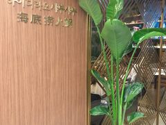 -海底捞(明洞店)