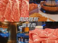 -阳坊胜利涮羊肉(禧乐汇店)