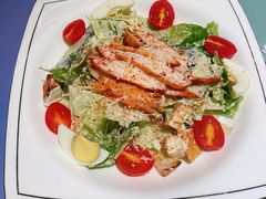 迈锡尼鸡肉沙拉-HELLO MUSAE 拾光缪斯餐厅·纯正希腊风味(苏州中心店)