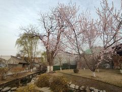 -三里河公园