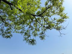 -泰山风景名胜区-普照寺