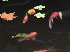 -莹珠阁·私房菜