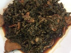 -金孔雀温泉旅游度假村