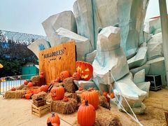 -海合安武汉极地海洋公园