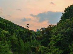 -云溪植物园