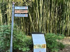 -兰亭风景区