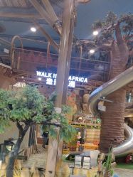 -卡通尼·Safari非洲探索乐园·生日会(金桥国际商业广场店)