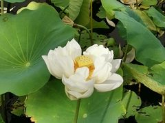 -黄兴公园