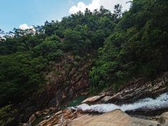 -广州白江湖森林公园