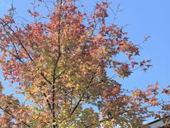 -中国天府农业博览园