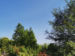 -瑶湖郊野森林公园