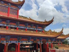 -东莞市大岭山森林公园