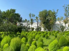 -野鸭湖国家湿地公园