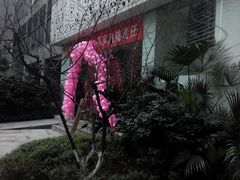 -西吉马游泳健身(协信店)