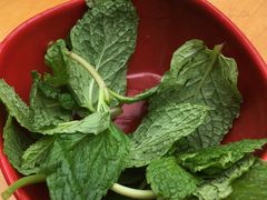 薄荷-攀枝花·任德琼·盐边羊肉米线