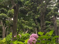 -兰溪青年公园