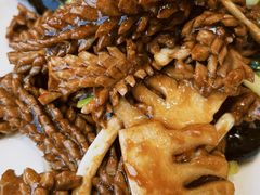 -陶然饺子城(奥体中路店)