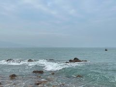 -杨梅坑