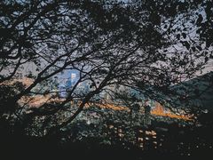 -小南山公园