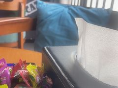 -梵猫·新养生(湛江鼎盛店)