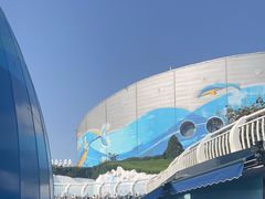 -海合安青岛极地海洋公园