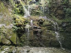 -云南屏边大围山国家公园