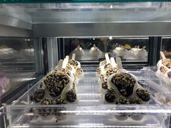 熊爪-野人先生现做冰淇淋(北京顺义祥云小镇店)