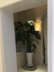 -悦色嘉丽科技美肤健康管理