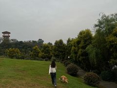 -张坝桂圆林公园