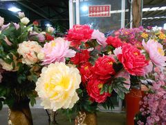 -三圣花乡旅游区