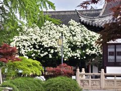 -常熟方塔园