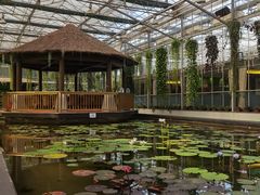 -常州花鸟园酒店(西太湖品牌优选店)