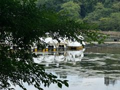 -井之头恩赐公园