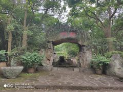 -海口火山口国家地质公园