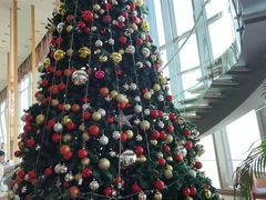 -视界美食自助餐厅·石家庄希尔顿酒店