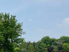 -五七小李子油焖大虾(总店)