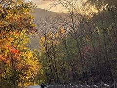 -九鼎铁刹山风景区