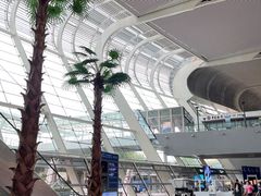 -合肥新桥国际机场-航站楼