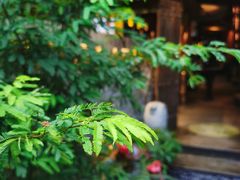 -都氏家DUSJOY(翡翠城店)