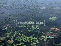 -东湖落雁景区
