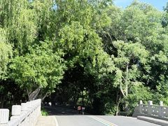 -同里国家湿地公园