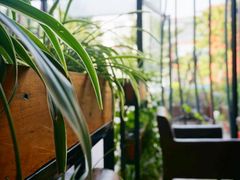 -彼芝奇比萨(红坊店)