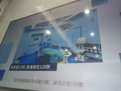 -南京医科大学友谊整形外科医院