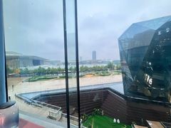 -羲和雅苑•北京烤鸭(乐园道万象城店)