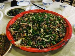 -东吴霸王兔(松青路店)